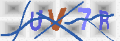 キャプチャ画像
