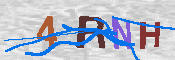 キャプチャ画像