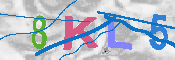 キャプチャ画像
