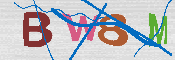キャプチャ画像