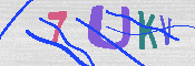 キャプチャ画像