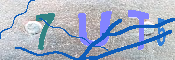 キャプチャ画像