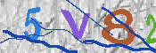 キャプチャ画像