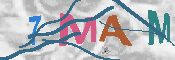 キャプチャ画像