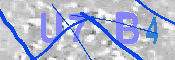 キャプチャ画像