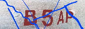 キャプチャ画像
