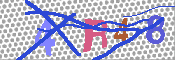 キャプチャ画像