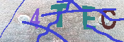 キャプチャ画像