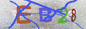 キャプチャ画像