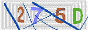 キャプチャ画像