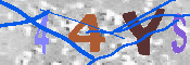 キャプチャ画像