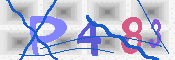 キャプチャ画像