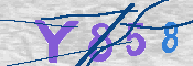 キャプチャ画像