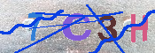 キャプチャ画像