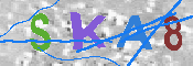 キャプチャ画像