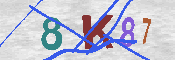 キャプチャ画像