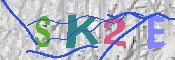 キャプチャ画像