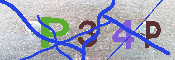 キャプチャ画像