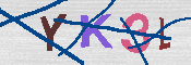キャプチャ画像