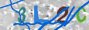 キャプチャ画像
