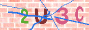 キャプチャ画像