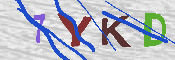 キャプチャ画像