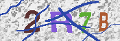 キャプチャ画像
