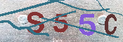 キャプチャ画像