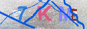 キャプチャ画像
