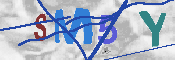 キャプチャ画像