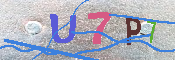 キャプチャ画像