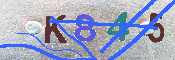 キャプチャ画像
