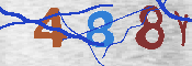 キャプチャ画像