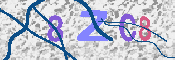 キャプチャ画像