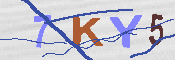 キャプチャ画像