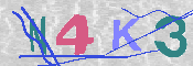 キャプチャ画像