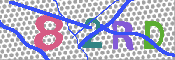 キャプチャ画像