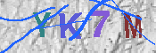キャプチャ画像