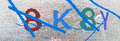 キャプチャ画像