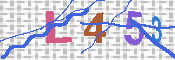 キャプチャ画像