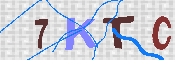 キャプチャ画像