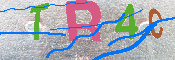 キャプチャ画像