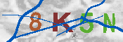 キャプチャ画像