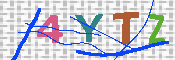 キャプチャ画像