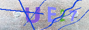 キャプチャ画像