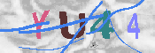 キャプチャ画像