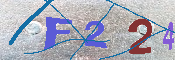 キャプチャ画像