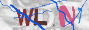 キャプチャ画像