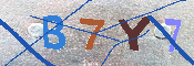 キャプチャ画像