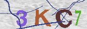 キャプチャ画像